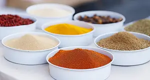 Spice Travel Guide